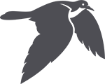 bird Icon