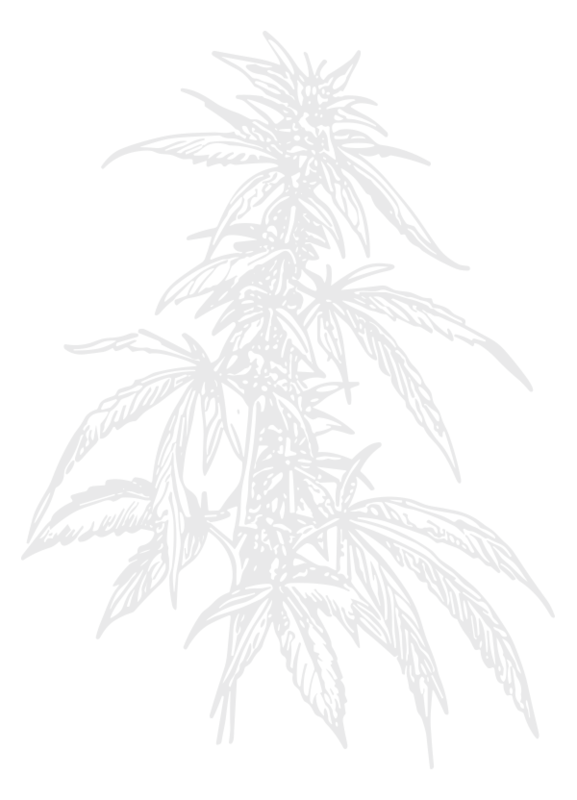 botanical cannabis