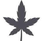 Leaf Icon